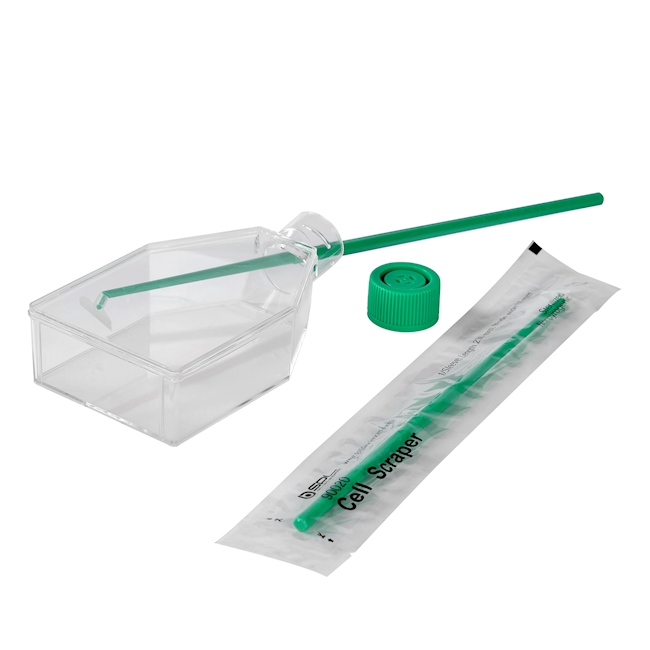 Cell scraper 23 cm (PP/PE)